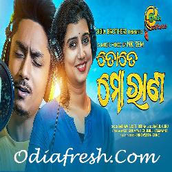 Tote Mo Rana - Odia Song